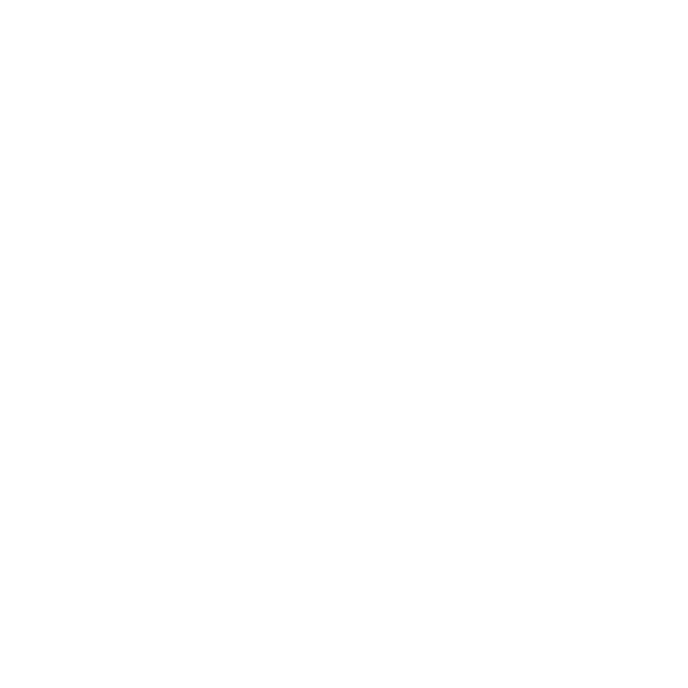 HYUNDAY ELECTRONICS