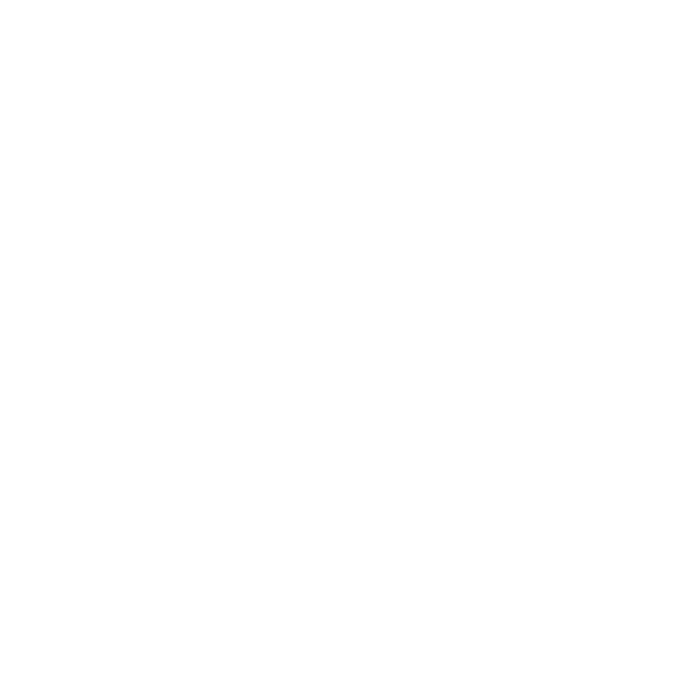 SOLVET